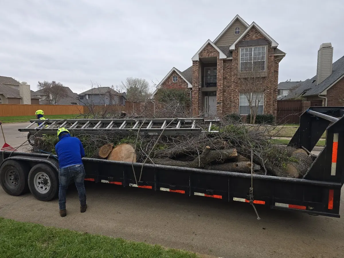 Expert Crown Reduction with proper safety equipment in Michigantown